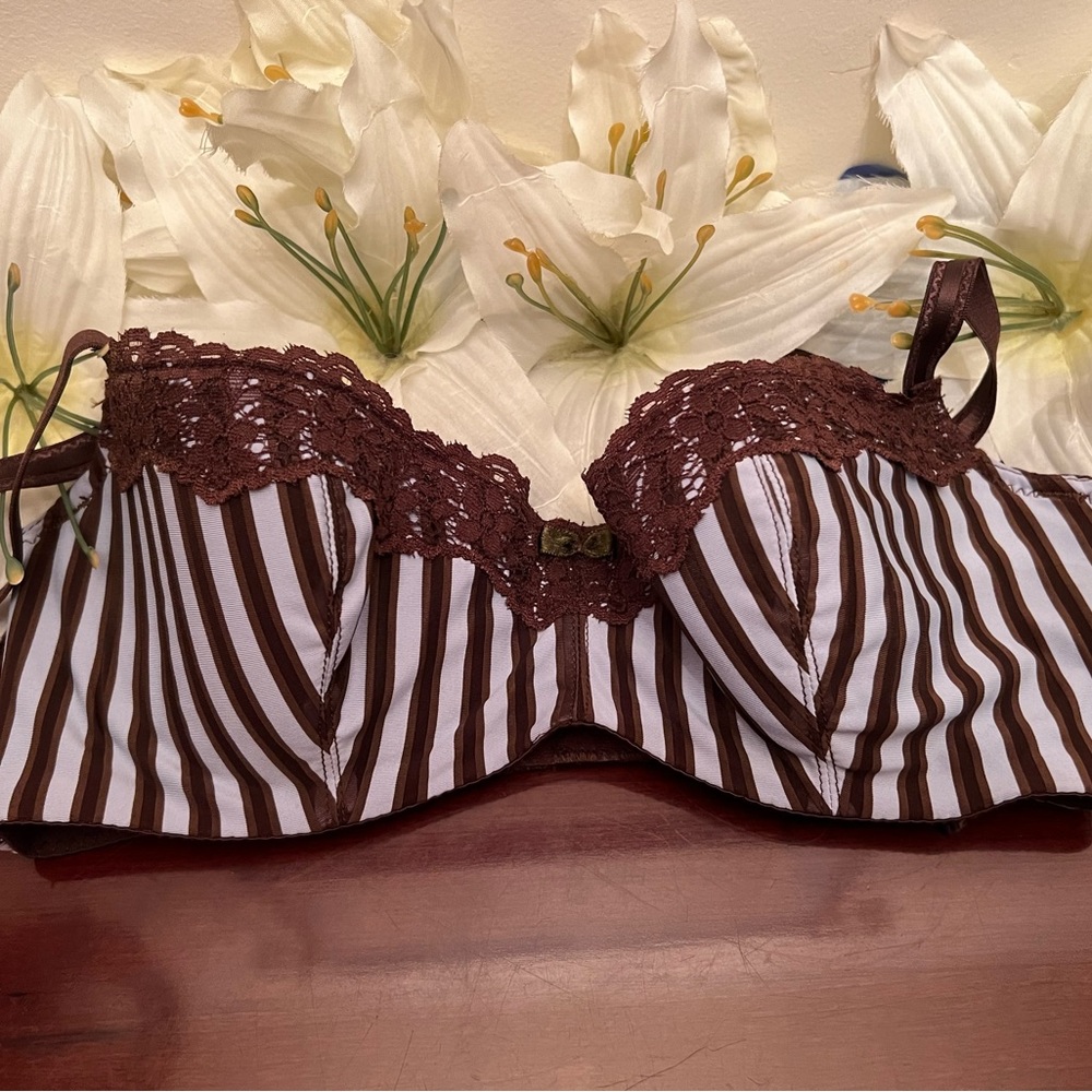 Q T Brown and Blue bra size 34c.